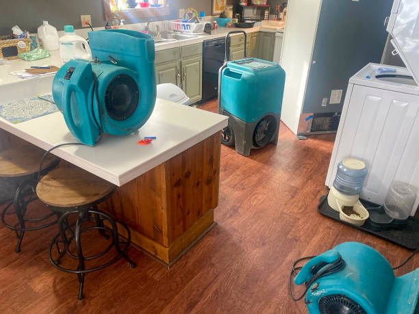 Best Residential water damage restoration  in Cisco, TX
