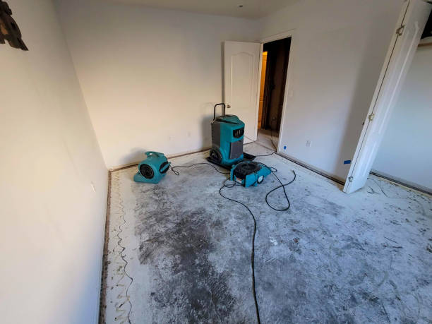 Best Carpet water damage restoration  in Cisco, TX