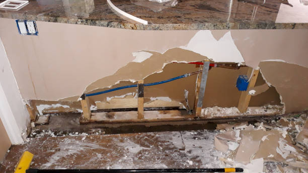 Best Mold removal after water damage  in Cisco, TX