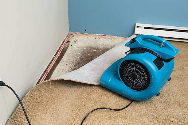 Best Fire Damage Restoration  in Cisco, TX
